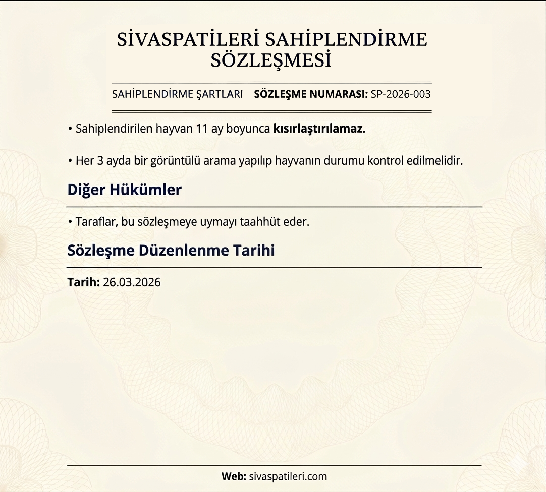 Sözleşme ve Şartlar